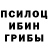 Бошки Шишки Amnesia Shahlo Hoshimova