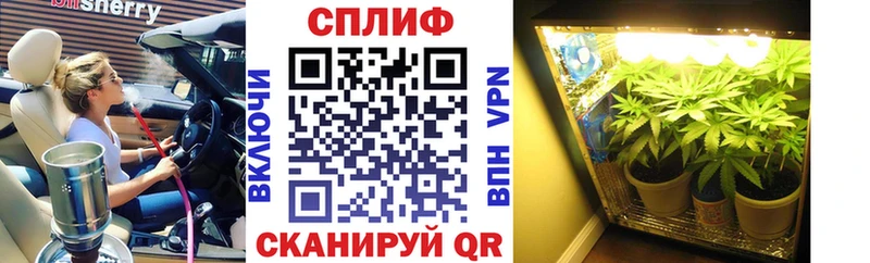Бошки Шишки сатива  Вятские Поляны 